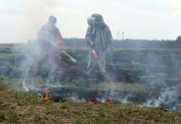 На территории Брянской области горят торфянники