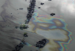 Из-за разрыва трубопровода в реку Йеллоустоун было вылито 50000 галлонов нефти