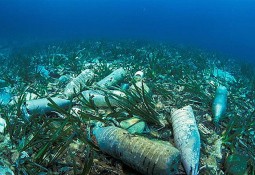 Мировые проблемы экологии, часть первая: «Загрязнение океана пластиком»